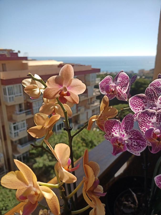 Sweet Home Benalmadena, Estudio Con Vistas Al Mar Y Excelente Conexion Wifi, Para No Fumadores, Con Piscinas, Sea Views, With Swimming Pools, Completely Renovated, Ideal For Older People, Bright With Morning Sun, No Smoking Extérieur photo